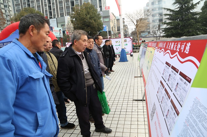 宪法日活动图四:市民观看展板.JPG